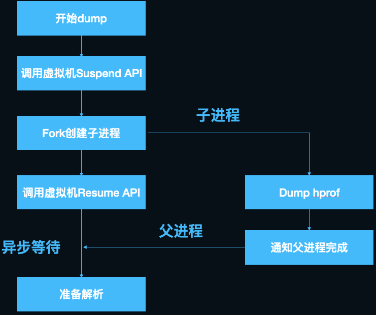 fork子进程